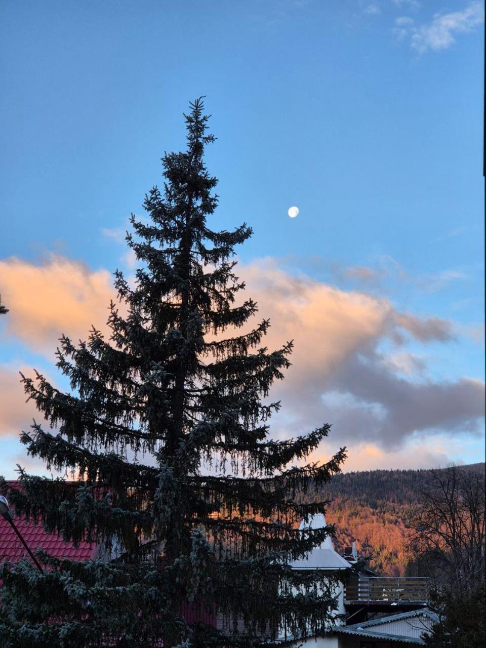 Готель "Yaro" Yaremche Bagian luar foto